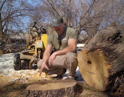 stump grinding lehi  For tree stump removal cost, call now